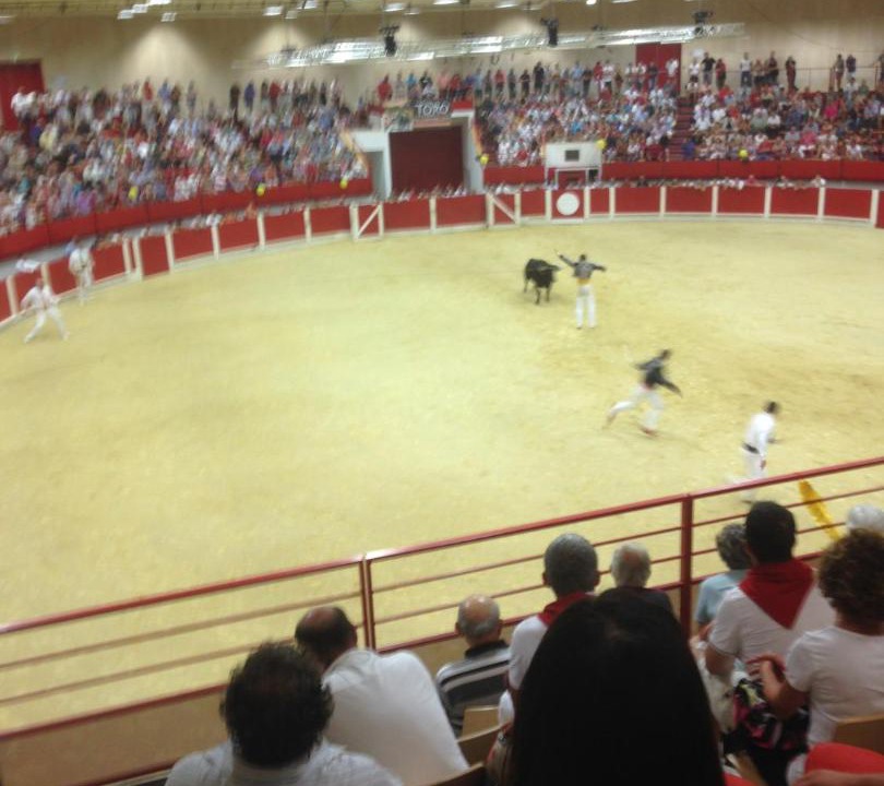 Photo of Others in Soustons