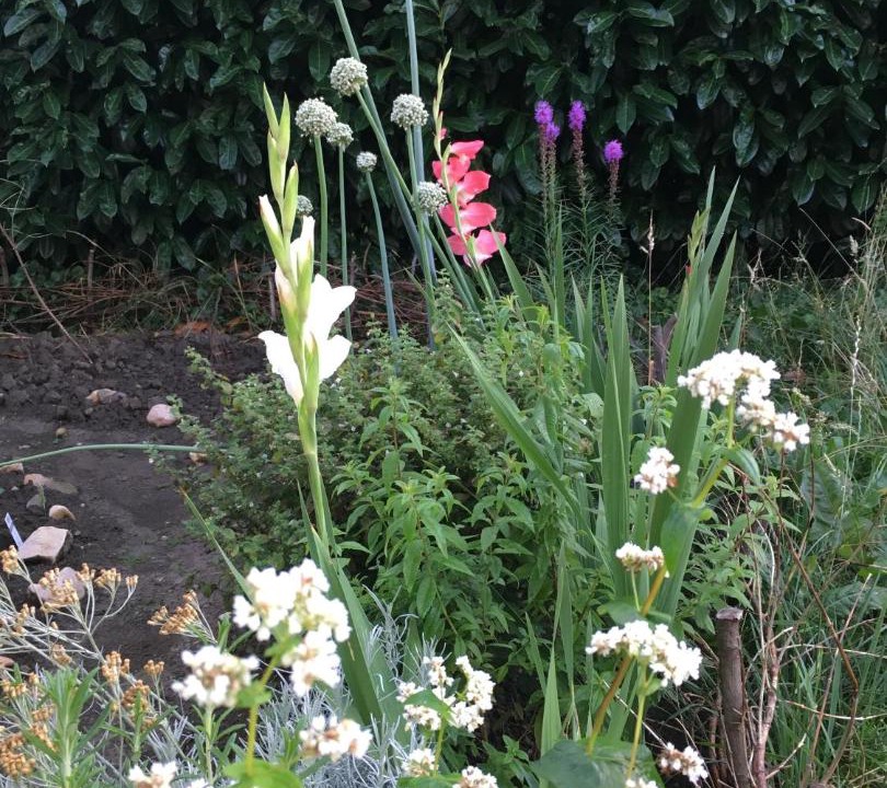 Photo of Others in Ufhusen