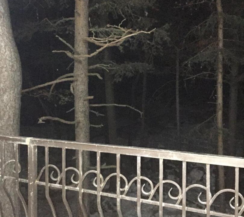 Photo of Buildings in Terskol