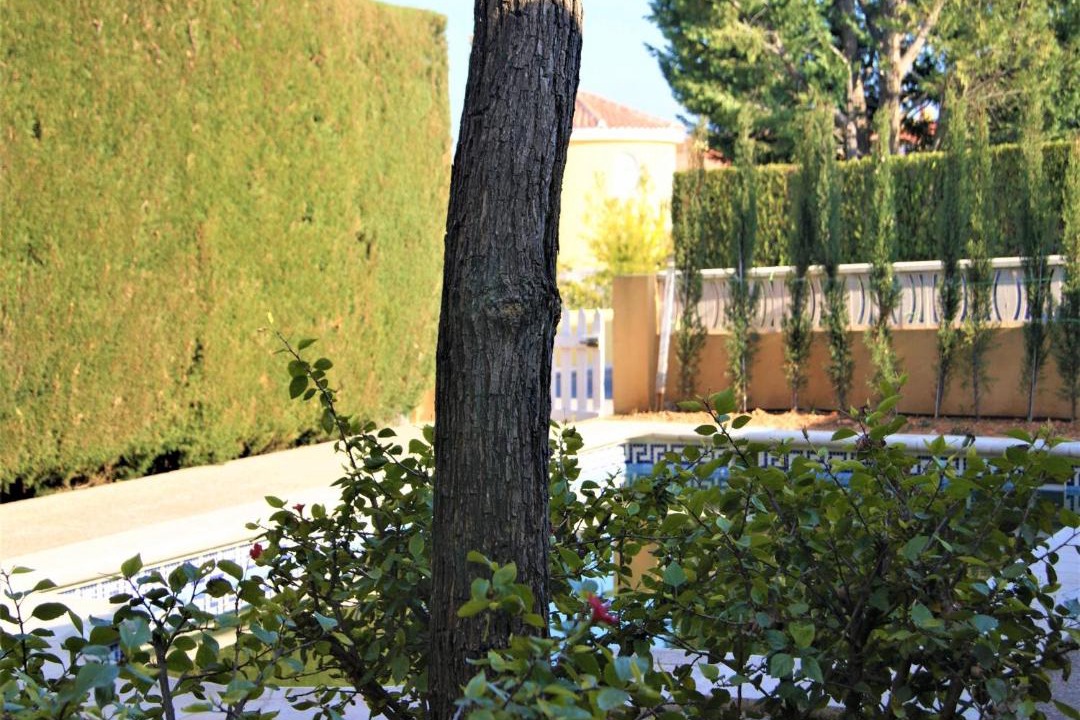 Photo of Others in Peniscola