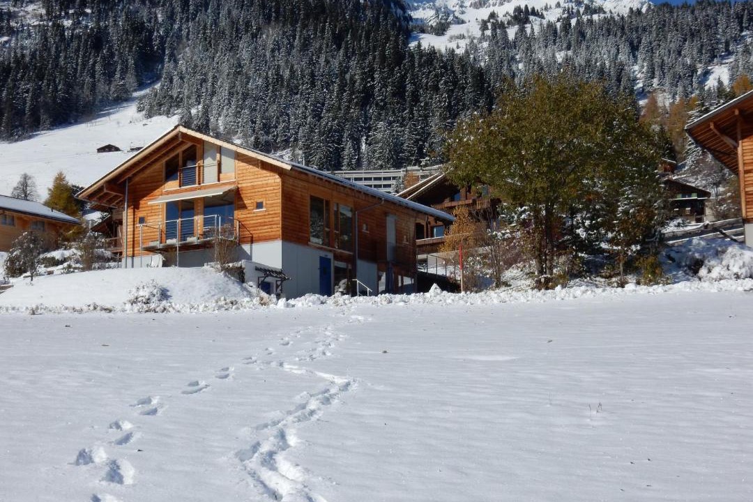 Photo of Others in Leysin
