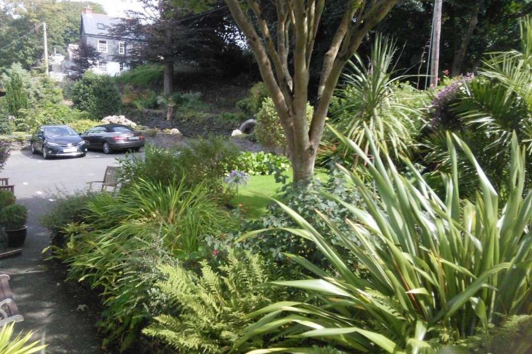 Photo of Others in Boscastle