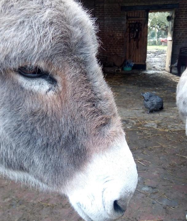 Photo of Others in Anzin-Saint-Aubin