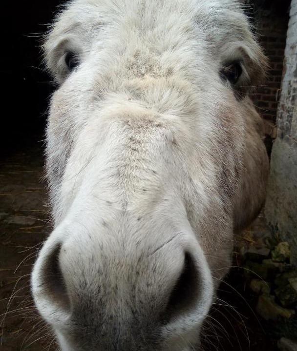 Photo of Bedroom in Anzin-Saint-Aubin