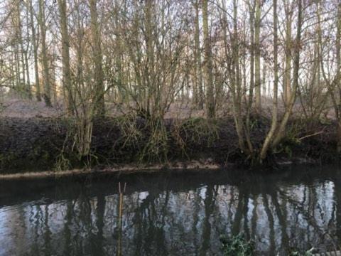 Photo of Outdoor in Anzin-Saint-Aubin