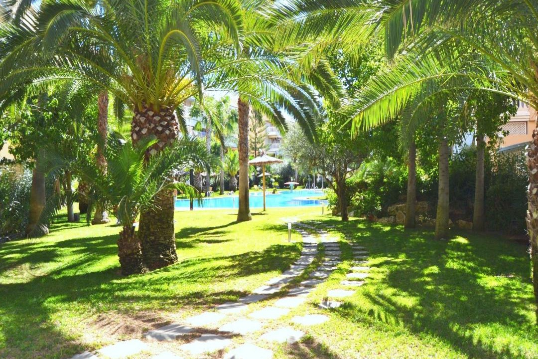 Photo of Others in Platja de l'Arenal