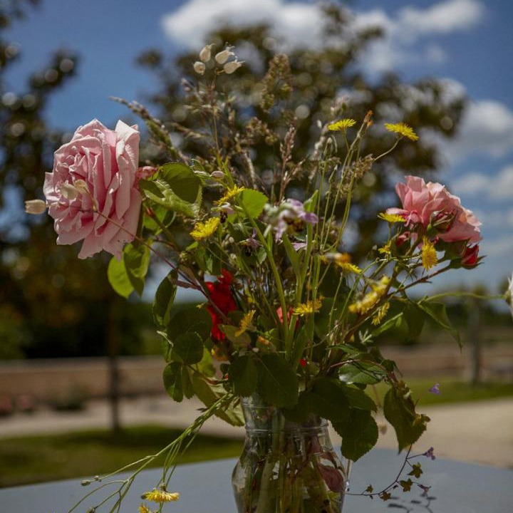 Photo of Others in Baurech