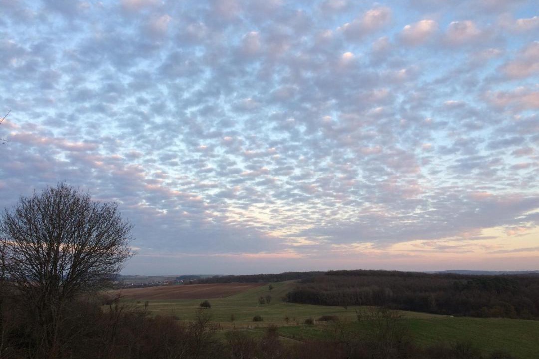 Photo of Outdoor in Rothbach