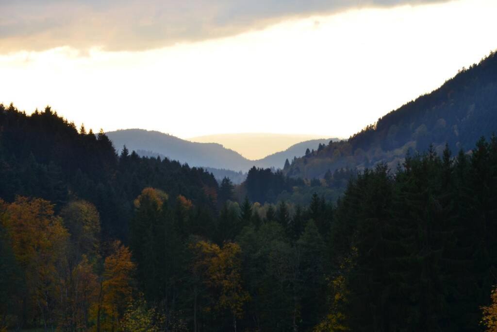 Photo of Others in Rochesson