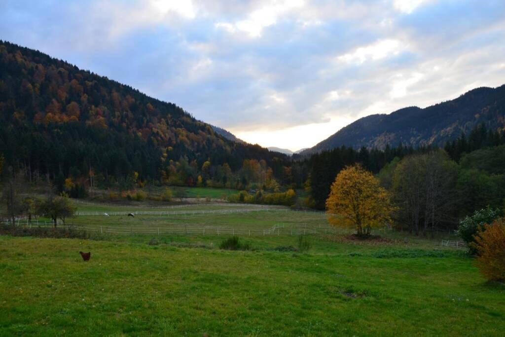 Photo of Others in Rochesson