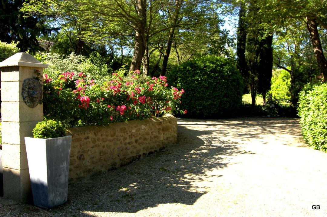 Photo of Others in Upie