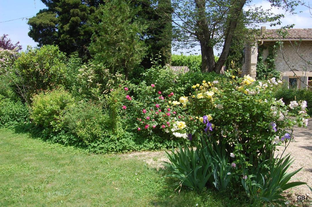 Photo of Others in Upie