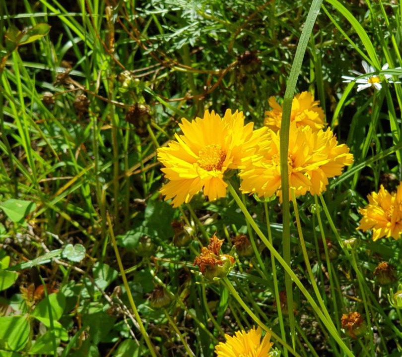 Photo of Outdoor in Kerikeri