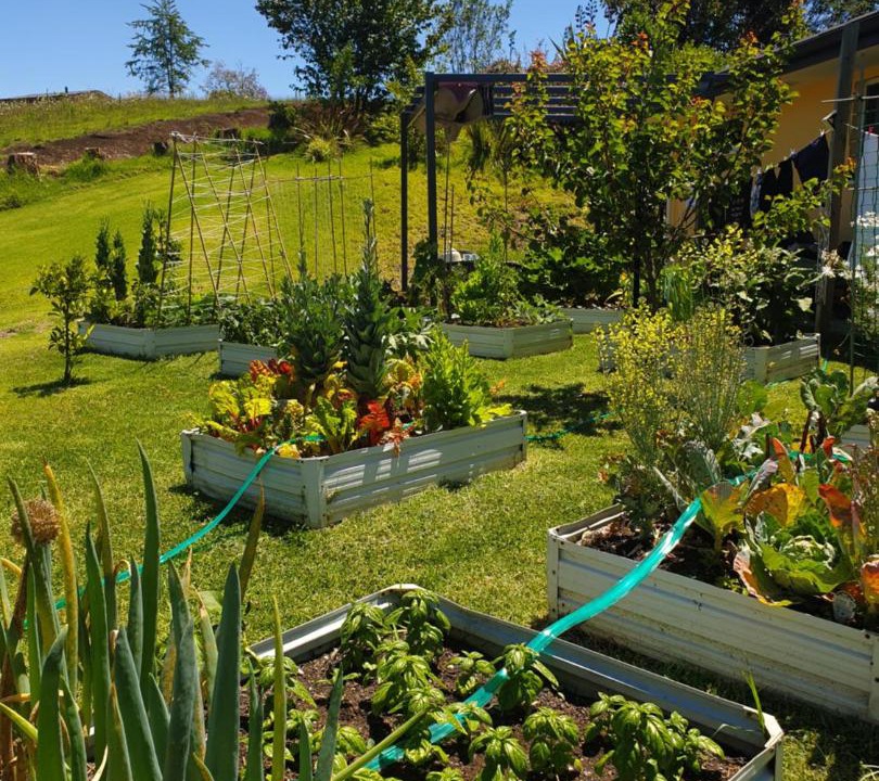 Photo of Others in Kerikeri