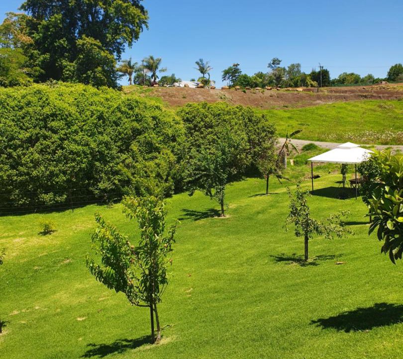 Photo of Others in Kerikeri