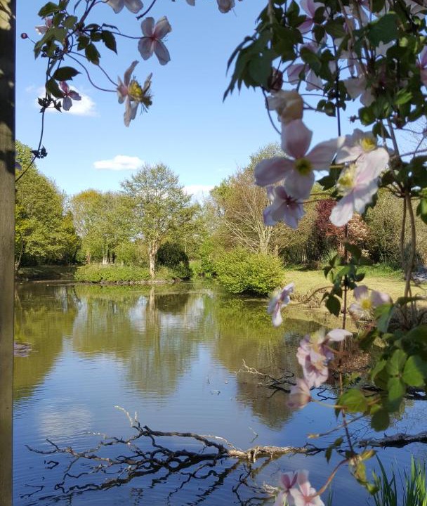 Photo of Others in Gouville-sur-Mer