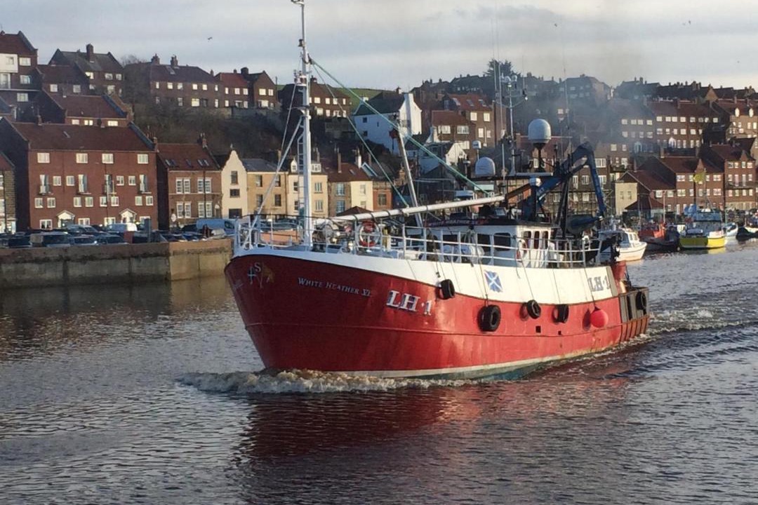 Photo of Buildings in West Cliff