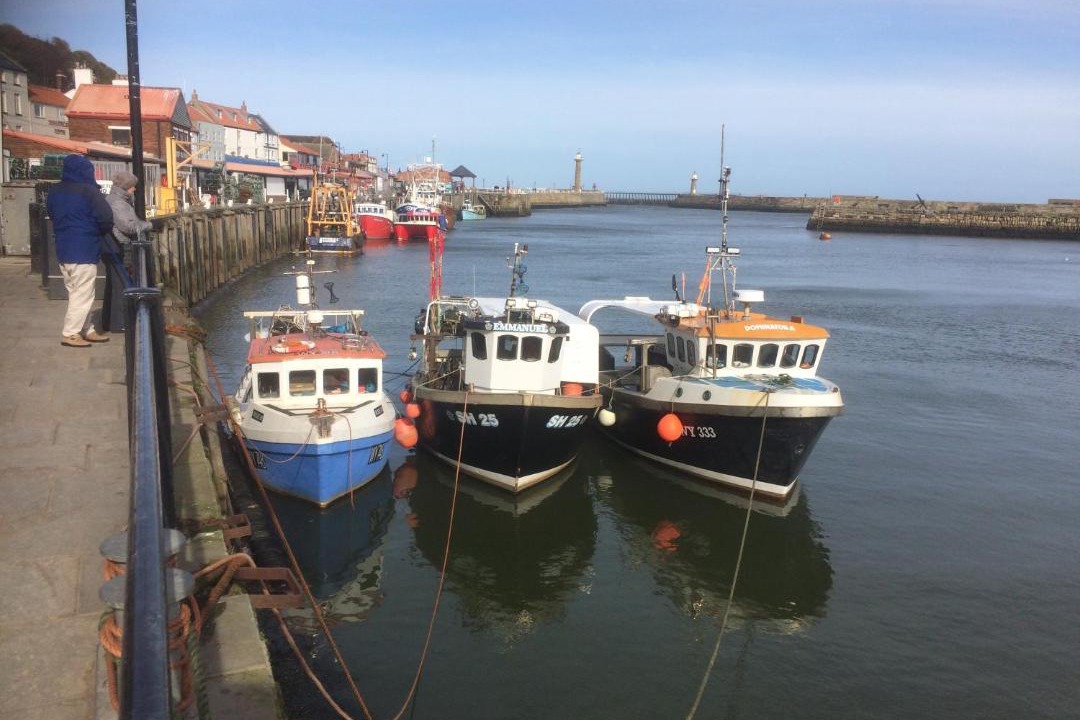 Photo of Others in West Cliff