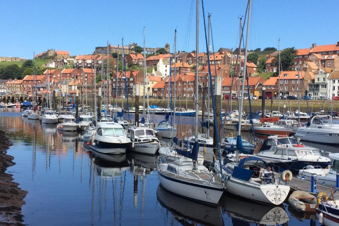 Photo of Others in West Cliff