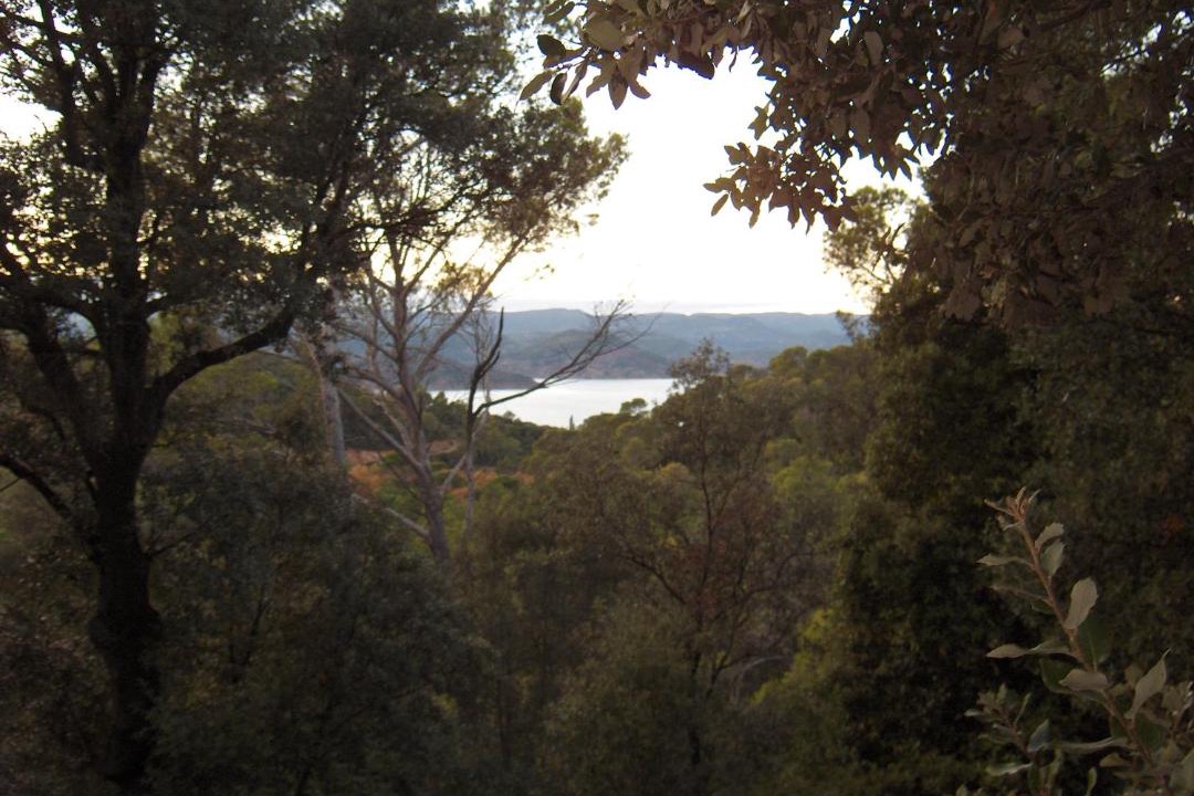 Photo of Others in Clermont-l'Herault