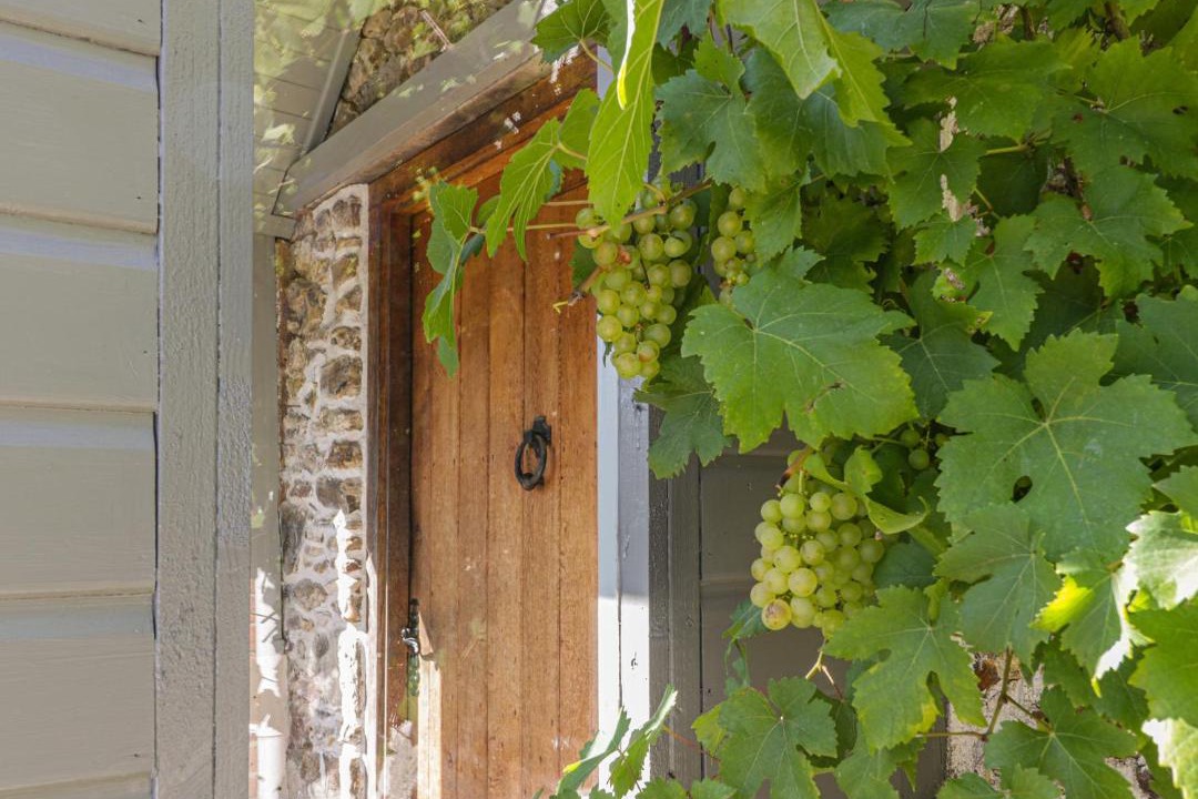 Photo of Others in Buckerell