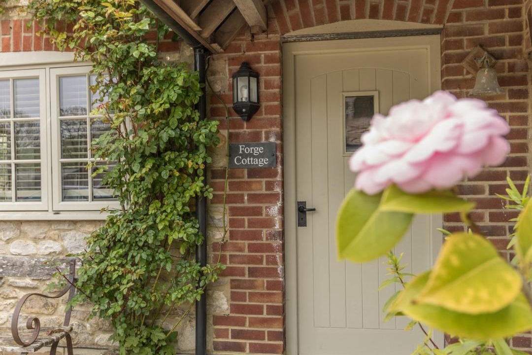 Photo of Others in West Lulworth