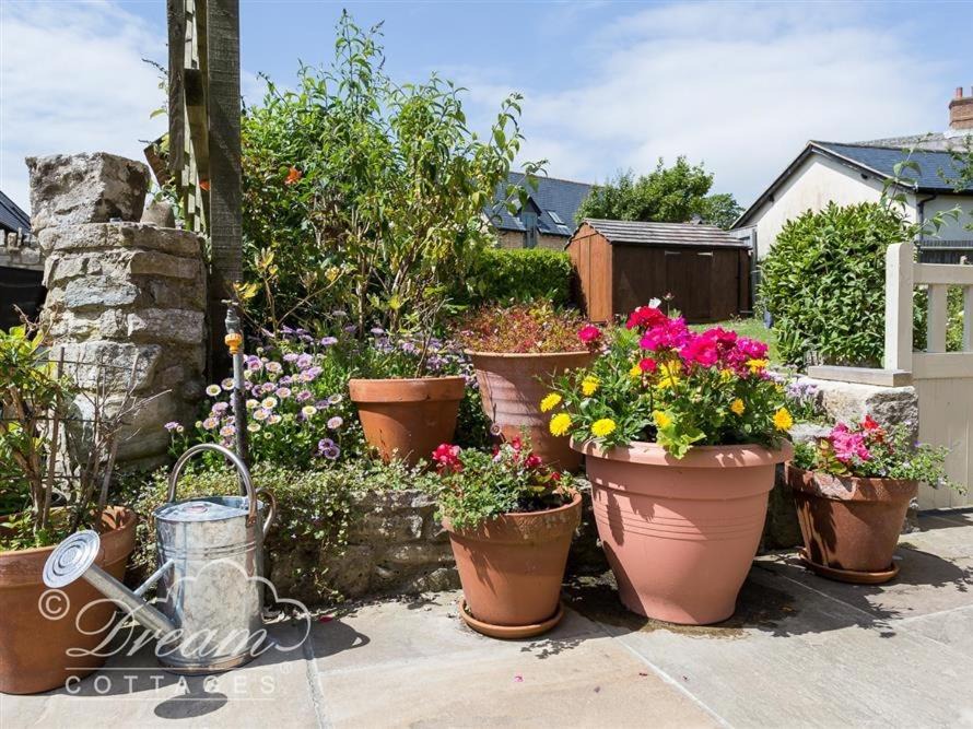 Photo of Others in West Lulworth