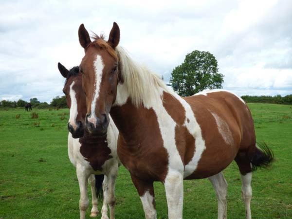 Photo of Others in Darlington