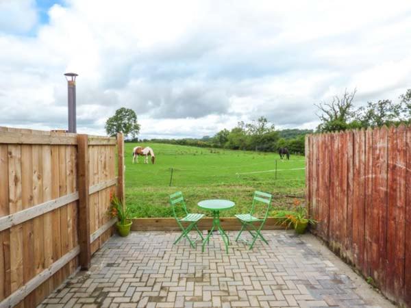 Photo of Others in Darlington