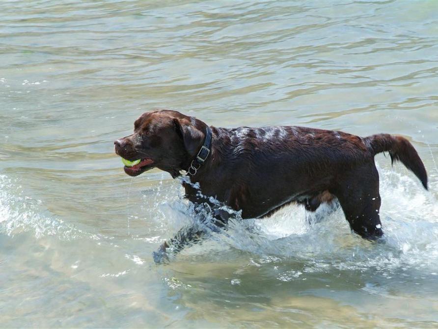 Photo of Others in Burgh Island