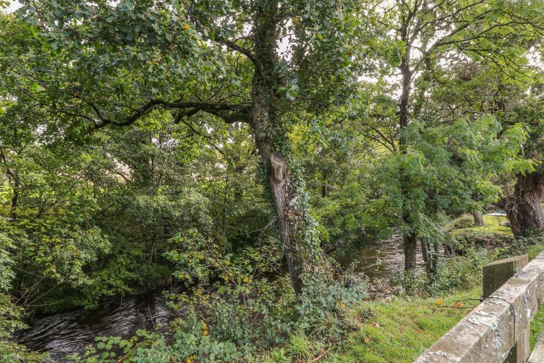 Photo of Others in East Portlemouth