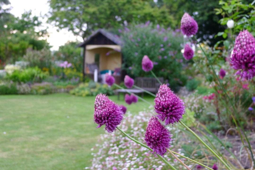 Photo of Others in Hempstead