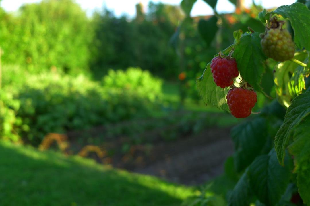 Photo of Others in Hempstead