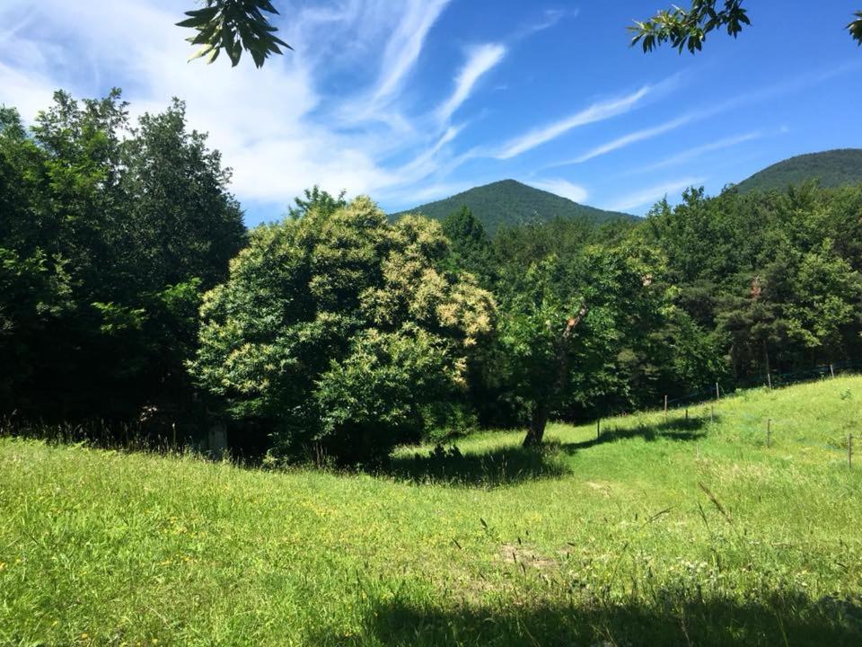 Photo of Outdoor in Montjoux