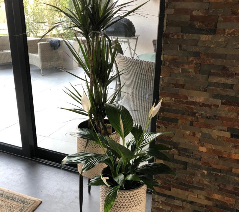 Photo of Patio Balcony in Whitstable