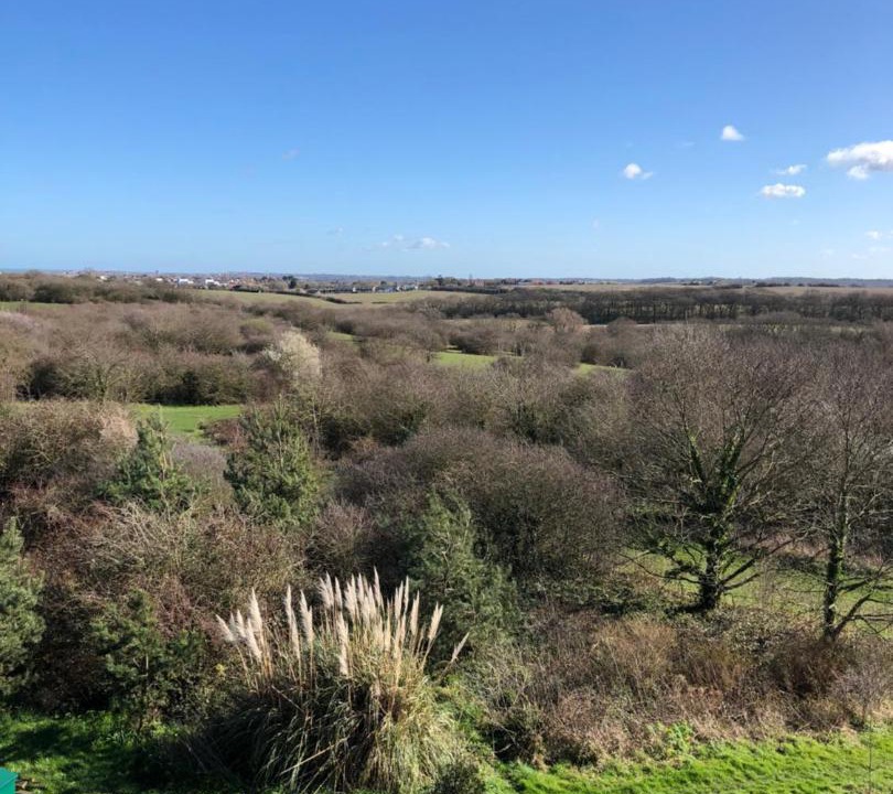 Photo of Outdoor in Whitstable