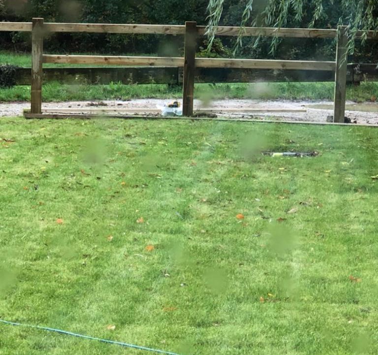 Photo of Others in Whitstable