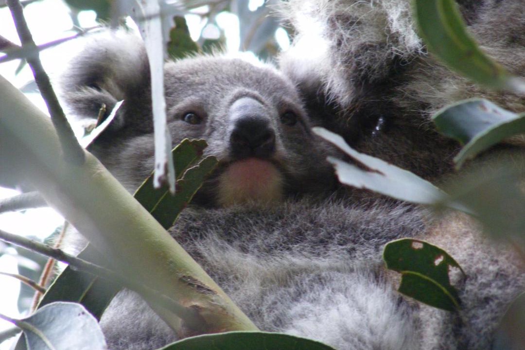 Photo of Others in Rawson