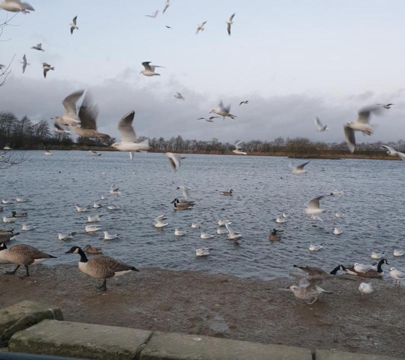 Photo of Others in Sutton-in-Craven