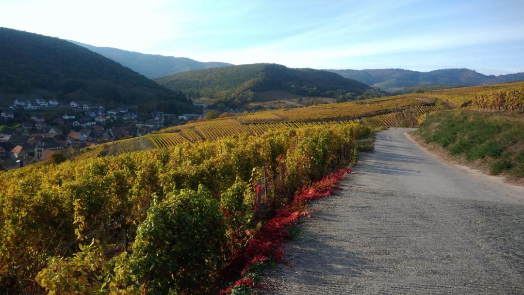 Photo of Outdoor in Soultzmatt