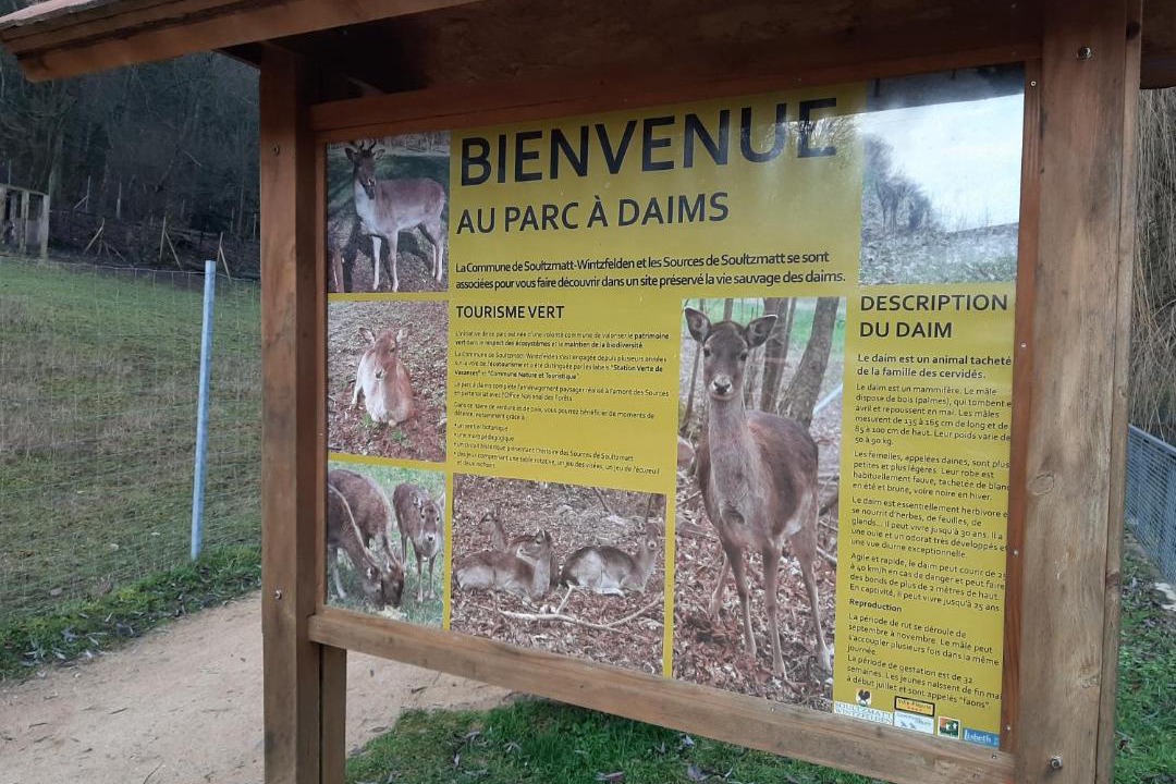 Photo of Others in Soultzmatt