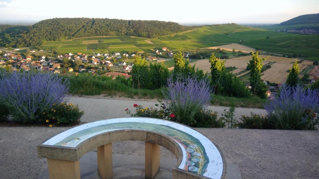 Photo of Outdoor in Soultzmatt