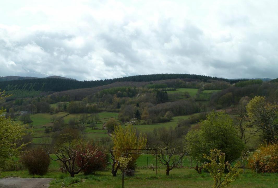 Photo of Others in Anost