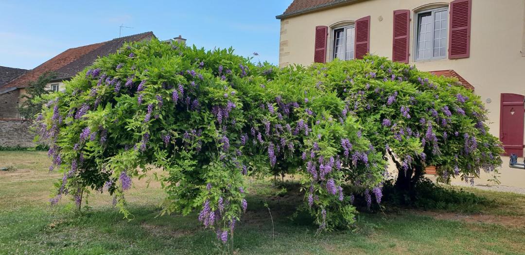 Photo of Others in Orges