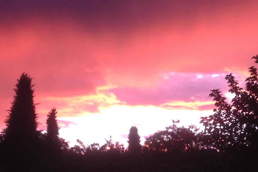 Photo of Others in Fayence