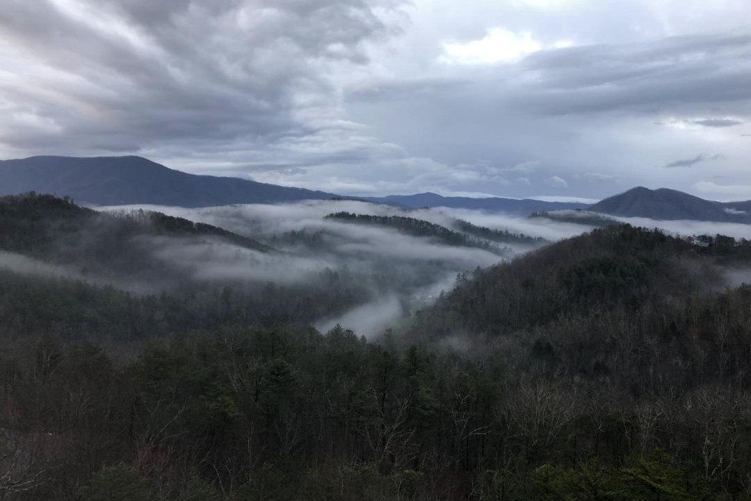 Photo of Others in Sevierville