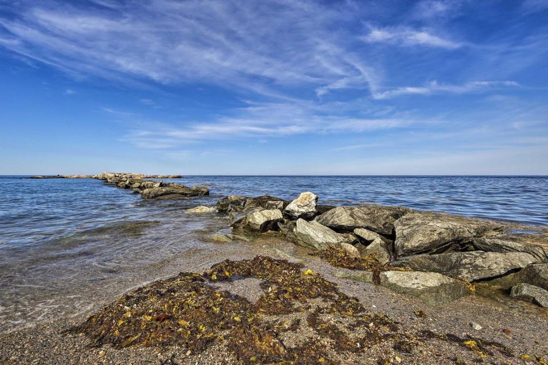 Photo of Others in Brant Rock