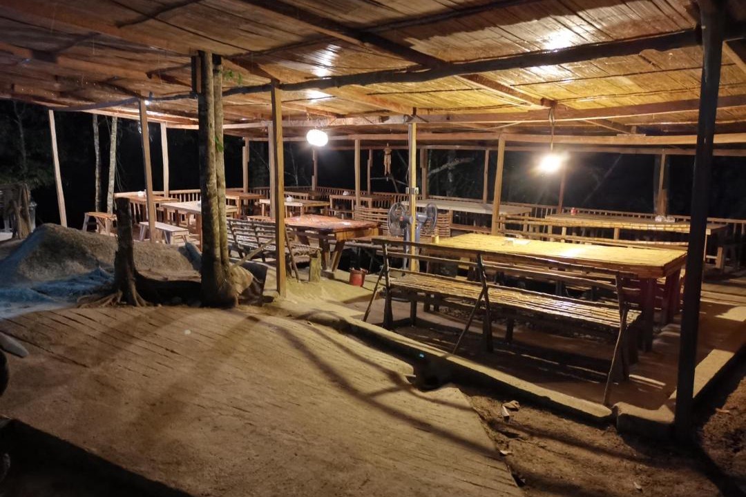 Photo of Others in Ringlet