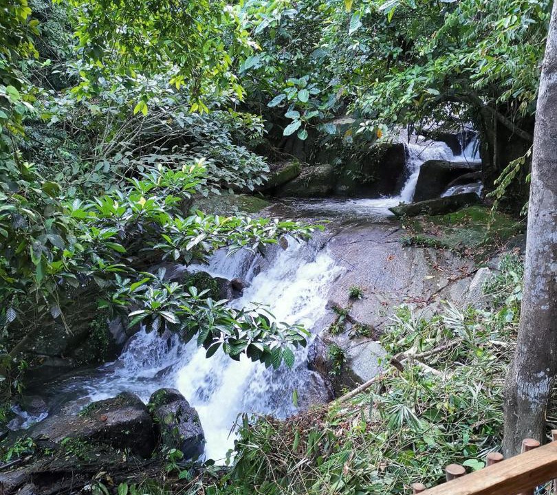 Photo of Others in Ringlet