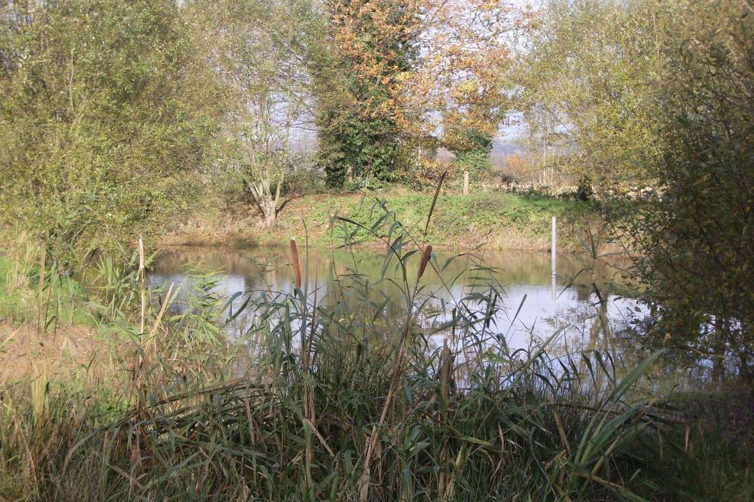 Photo of Others in La Boussac